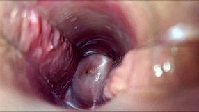 Anime hentai babe gets intense vaginal orgasm in wild scene