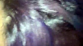 i sucked puerto rican bwc in public and got caught