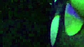 maintenance night means fingering my body hehehe