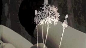 Discover Vintage Hairy Pussy Amid Steam Engines