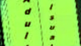 harem hotel adventure