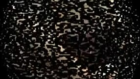 Licking and sucking feet in domination fetish