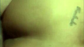 crazy prostitutes in hardcore selfie fucks?