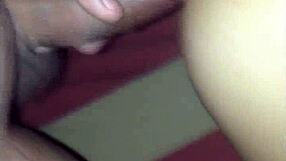 My wife loves big cock and loves to lick it