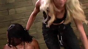 becca diamond dominates me with her strapon in this 3some bondage.