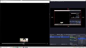 Hey, Wanna See My Wild Alien Hentai Clip?