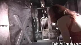 Obey my commands or get harsh punishment now