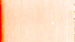 What Secrets Hide in Vintage Erotic Illustrations?