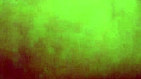 she enjoys some light sucking and anal play