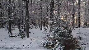 Beauty EXPERIENCED TWO ORGASMS FROM STRONG MEMBER IN PUSSY