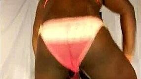 Watch this sexy shemale twerking her ass to the music.