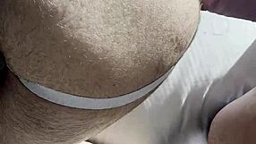 this little bear came to my house and begged for something