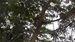 soloboy mastuba��o 48 masturbation