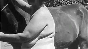 Dark Lantern Presents Beauty And The Beast! Watch Now!