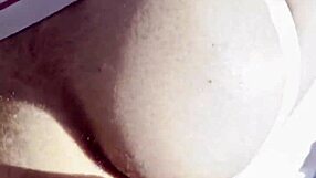 this little bear came to my house and begged for something