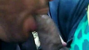 Public park blowjob in Brazil