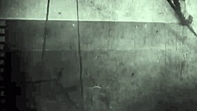 what makes these vintage erotic drawings so captivating?