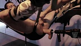 Fort Troff's Roman Todd and Pierce Paris dominate Alpha Wolfe.