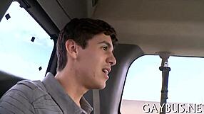 Is This Bear Sex Intense?