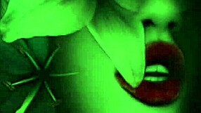 Bela Porra Que Contamos Ao Amigo Do Meu Sobrinho Com A Minha Irmã