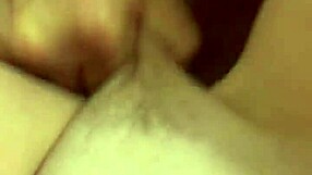 Alineflavio Update 151 Sep 11 2024