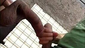 Mexican amateurs have fun at el ancla