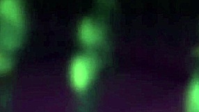 Wow, this hentai action in Taimanin Asagi Vol 03 is wild! 😍