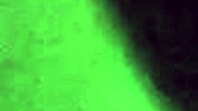 Caught my stepson's stud drilling my pussy before hubby arrives