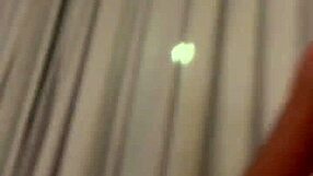 Alineflavio Update 151 Sep 11 2024