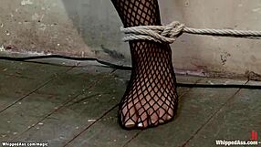 Watch The Lesbian Slut Getting Whipped And Fucked Hard!