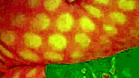 Angelg and Kuzz's interracial gay Halloween fuck with monster cock