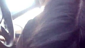 Beautiful girlfriend gives best friend a deepthroat while cruising in a car