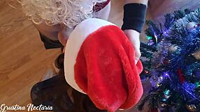 Amateur couple enjoys hot Christmas sex