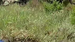 पहाड़ों में कर्वी असली जोड़े की रॉ आउटडोर चुदाई गंदी बातें गर्म