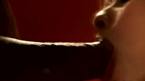 does she suck that cock just right in exotic indian style?