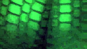 big booty wife, shake that ass!