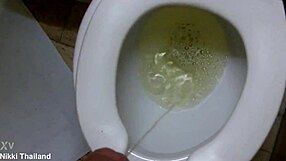 कभी निक्की लेडीबॉय को टॉयलेट में हावी होते देखा?