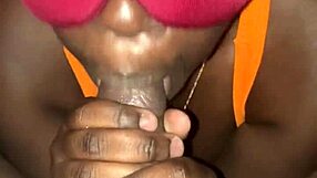 blind-folded ebony lesbian cheats on girlfriend... sucking big black cock and getting fucked hard!