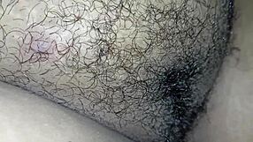 ये कर्वी, हैरी बीबीडब्ल्यू लैटिना एमेच्योर के साथ फन टाइम्स की कम्पाइलेशन चेक आउट करें।