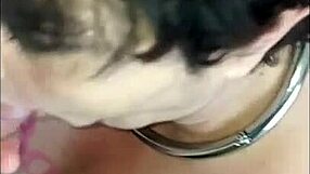 chienne marie serves maitre hervé with raw outdoor action