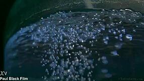 honey's erotic art with paul black and toys