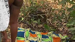 सेक्सी बुश सेक्स टेस?