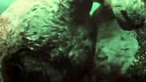 Dark Lantern Entertainment Unleashes Raw Vintage Pussy Power