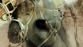 Vintage babe shows off her hairy pussy outdoors in retro style. That antique charm hits hard!