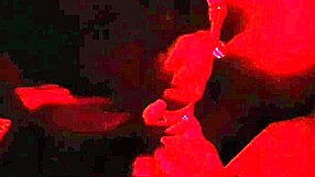 Paid for intense blowjob all night long.