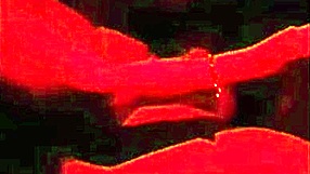 Paid for intense blowjob all night long.