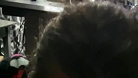 pov sucking dick in a fun game with wet licking