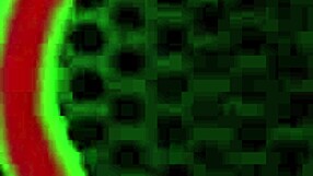 क्या हैले हेज़ रोम मेजर के बीबीसी को अपने मुंह में संभाल पाएगी?