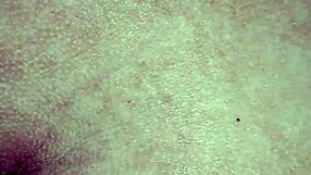 brazilian shemale client from salvador trades passionately