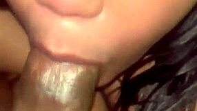 Balls get milked in raw sloppy lactating blowjob.